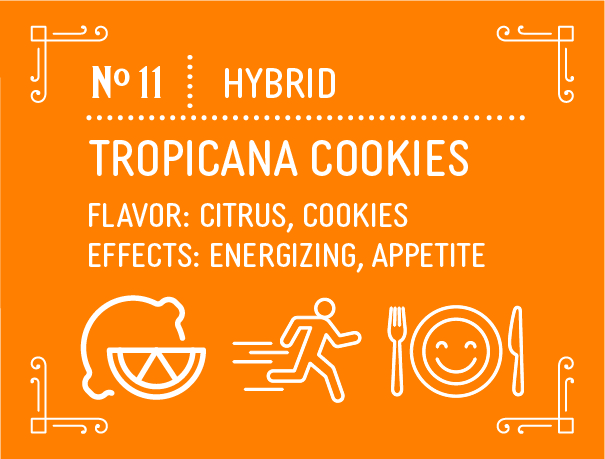 Hybrid Tropicana Cough