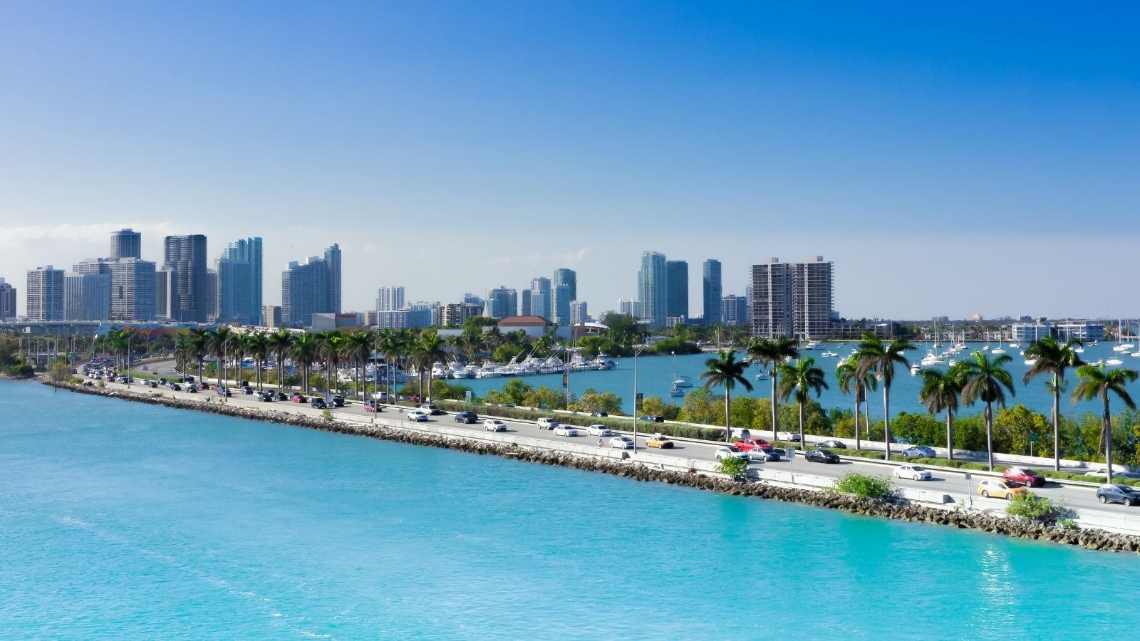 Miami skyline and waterfront with palm trees